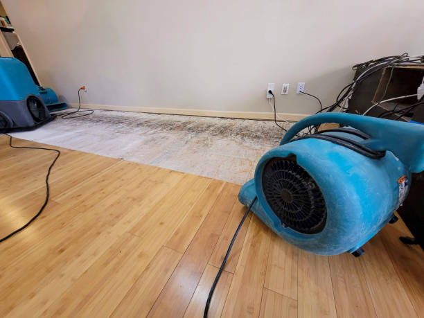 Professional Water Extraction technician working in Charleston, IL